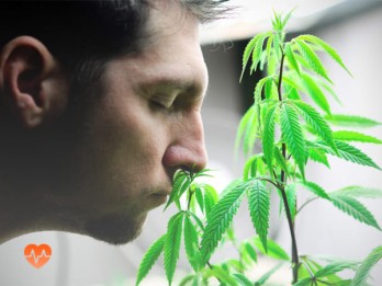 Детоксикация от марихуаны в Астрахани